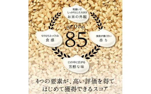 令和8年度　新米 【3回定期】特別栽培米 コシヒカリ ヒロシノキモチ 精米 10kg 総計30kg ブランド米 銘柄米 国産 米 お米 日本米 ギフト 贈り物 備蓄 防災 食品 陽咲玲 はるざれ F6T-1034