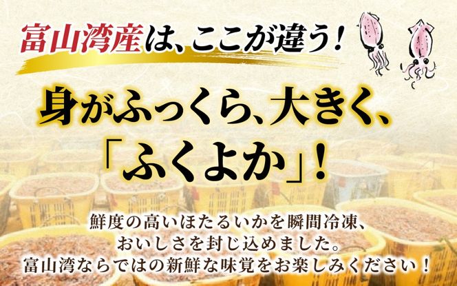 「富山湾ほたるいか」刺身・しゃぶしゃぶ用 ポン酢付 [A-001012] /　ほたるいか いか ホタルイカ イカ 沖漬け 川村水産 ホタルイカ 蛍烏賊 朝どれ 朝獲れ おつまみ 珍味 海鮮 名産 旬 観光 ギフト 送料無料 お取り寄せグルメ 北陸 富山 冷凍 ほたるいか