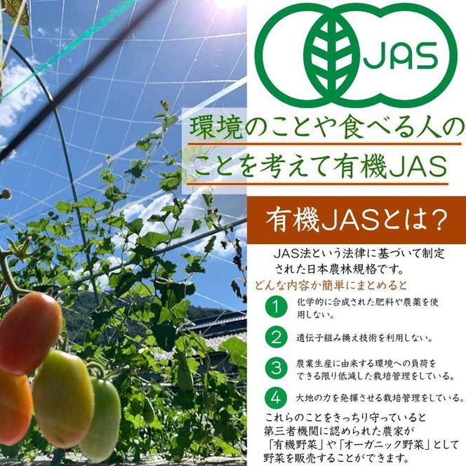 【12回定期便】＜京都・矢田の里＞産地直送！有機JAS認定 京野菜・農家のこだわり野菜・新鮮卵など お楽しみセット1年間お届け≪オーガニック 栽培期間中農薬・化学肥料不使用≫