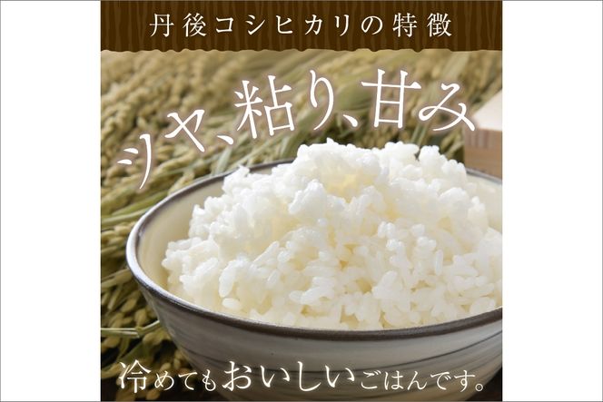 【定期便6回】令和8年産 丹後こしひかり 5kg×6ヵ月 1等米 お米 コメ こめ 丹後 コシヒカリ 精米 ふるさと 納税 コシヒカリ 精米 ふるさと 納税 こしひかり 精米 ふるさと 納税 米　MU00105