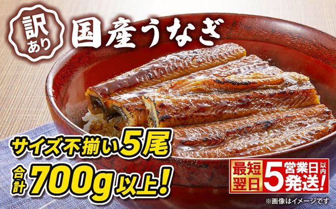 〈最短翌日発送〉【訳あり】さかい河岸水産 国産 うなぎ 蒲焼き 5尾 700g以上！ ※サイズ不揃い 小分け K2672