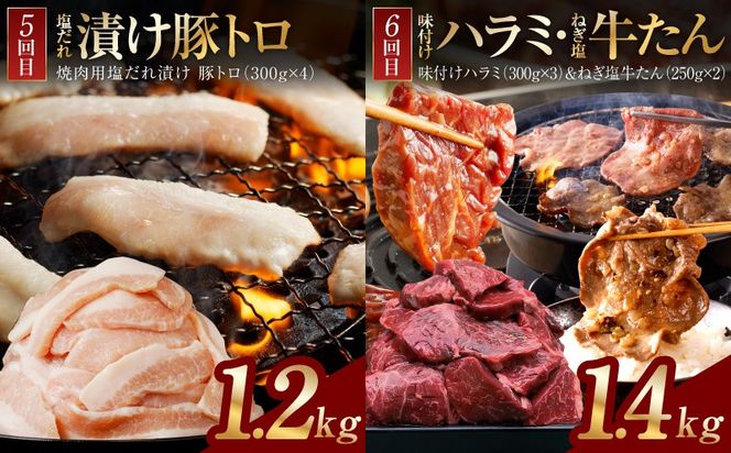 G4758 アキラ商店 肉三昧 プレミアム 定期便 全6回【毎月配送コース お楽しみ 焼肉 ていきびん 焼くだけ 小分け BBQ やきにく 数量限定】