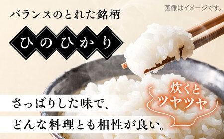 【全12回定期便】【こだわり精米】 糸島産 ひのひかり 5kg 糸島市 / RCF 米 お米マイスター [AVM008]