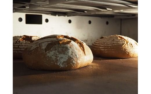 バックハウスブラウ（Backhausblau)ロッゲンミッシュブロート 1個 |パン ぱん ドイツパン ベーカリー どっしり 重厚 酸味 食物繊維 ミネラル ビタミン 栄養価 バター 送料無料 岐阜県 瑞穂市 ※離島への配送不可