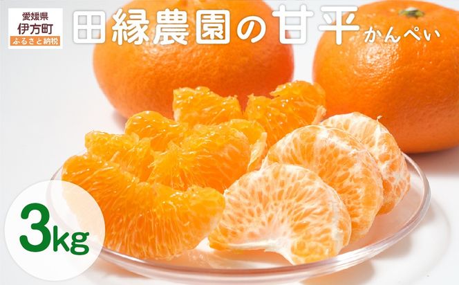 yQɕzys\zyʌzc_̊Õi؂j3kg ւ̔zs i2026N125菇j IKTA016