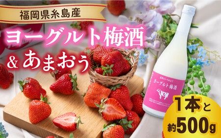 【2024年2月上旬より順次発送】【春】ヨーグルト梅酒720ml ×あまおう 約250g×2パック 糸島市 / 南国フルーツ株式会社 [AIK013]