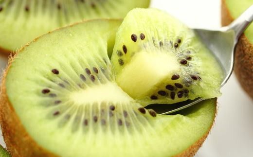 ［人気］有田産キウイフルーツ約3.6kg（サイズおまかせ）★2027年１月下旬頃より順次発送 BZ067