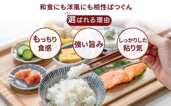 【先行予約】【定期便 2ヶ月】令和6年産 筑波山麓ホタルの里厳選米コシヒカリ15kg　透き通った大粒米　※離島への配送不可　※2024年9月上旬～2025年8月上旬頃より順次発送予定