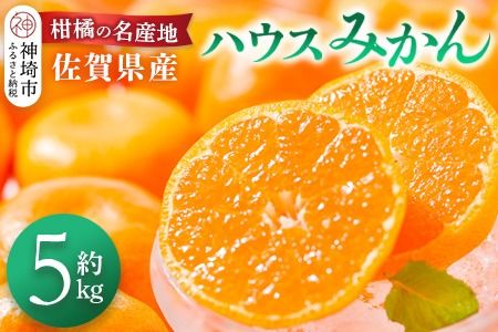 【先行受付 令和8年6月より発送開始】佐賀県産『ハウスみかん』約5000g【果物 フルーツ みかん 柑橘 ビタミン デザート ふるさと納税】(H108116)