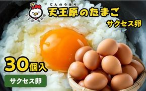 【天王原のたまご】サクセス卵30個入り