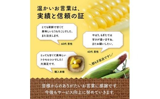 【令和9年発送】井上農園産スイートコーン(ゴールドラッシュ)【 トウモロコシ スィートコーン 2027年発送 先行予約 数量限定 期間限定 】 [B03901 B03902]