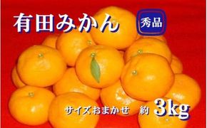 紀州有田みかん 秀品 ３kg（L・M・Sサイズおまかせ）　※2024年11月下旬頃より順次発送予定 【sml128】