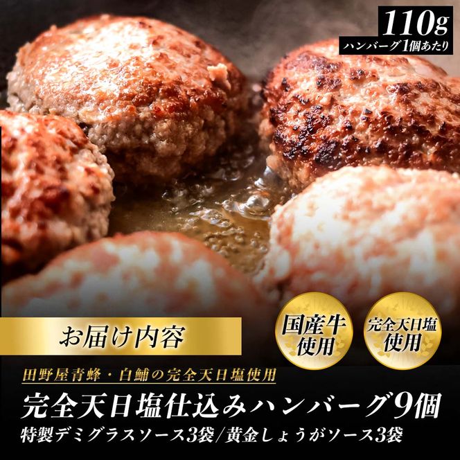 食べ比べ！完全天日塩仕込みハンバーグ3種各3個セット 田野屋青蜂 白鯆 完全天日塩 特製デミグラス 黄金しょうがソース付き 肉 お肉 おかず 惣菜 ジューシー おいしい 洋食 お取り寄せ 冷凍 配送 高知県 田野町