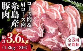 【全3回定期便】糸島産豚ロース肉6枚 肩ロースカツ5枚 合計11枚セット《糸島》【糸島ミートデリ工房】 [ACA229]