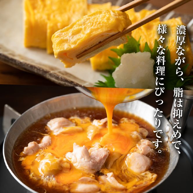 比内地鶏の めんつゆ 300ml×1本