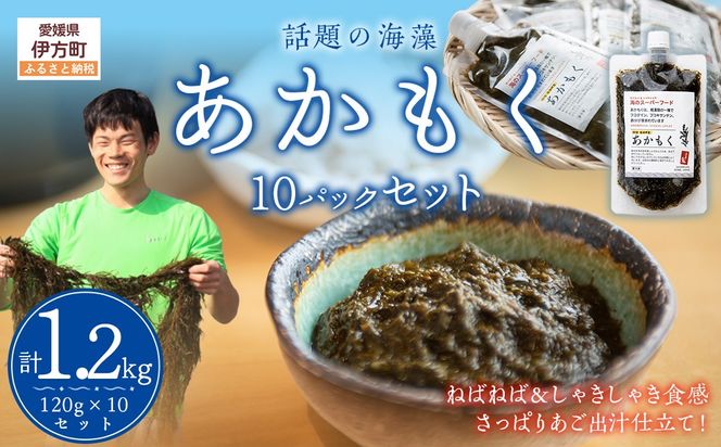 【話題の海藻】あかもく（あご出汁）120g×10パックセット IKTB034