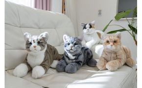 川崎市のロボットメーカーが作る、シニア向けペットの代理ロボット！なでなでねこちゃんEXシリーズ　5種類から選択可