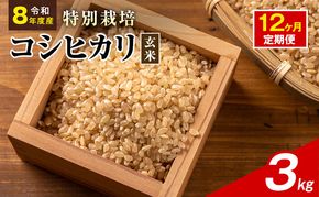 令和8年産 特別栽培米 コシヒカリ 玄米 3kg 静岡県産 色彩選別済 食に意識高い方へオススメ 12ヶ月定期便