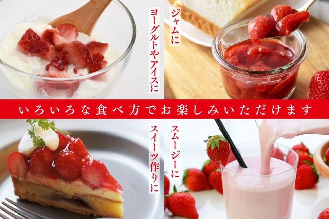 冷凍いちご 3kg（いちごさん)【佐賀県産 ブランド 冷凍いちご フレッシュ 冷凍フルーツ スムージー デザート お菓子作り シャーベット 甘い みずみずしい 無添加】(H126103)