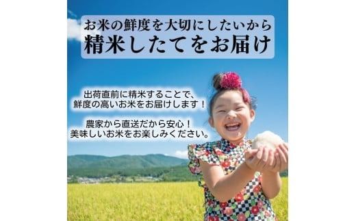 令和7年産 にこまる 白米 選べる 5kg 10kg 1回 4回 定期便 お米 精米 新米 ごはん ご飯 高知県産 弁当 おにぎり 料理 新嘗祭皇室献上米 令和7年 R7年 高知県安芸市 もちもち食感 美味しい 農家直送 先行予約 定期便 高級米 ブランド米 冷めても美味しい 炊き立て 食べ比べ 人気 おすすめ 贈答用 ギフト 安芸市 高知県