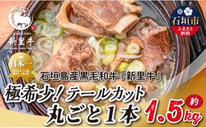 石垣島産 黒毛和牛 新里牛 極希少！ テールカット1本 約1.5kg（1～1.5kg） SZ-43