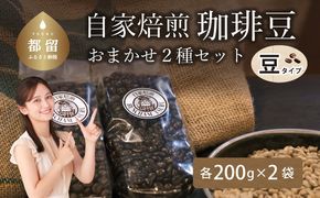 CA004　自家焙煎豆 豆のまま　おまかせ２種類