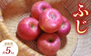 【2026年11月～発送】ふじ 家庭用 約5kg りんご リンゴ 林檎 果物 フルーツ 長野県 長野 山ノ内町