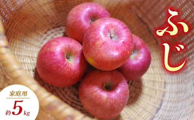 【2026年11月～発送】ふじ 家庭用 約5kg りんご リンゴ 林檎 果物 フルーツ 長野県 長野 山ノ内町
