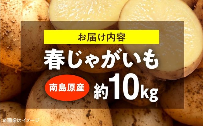 じゃがいも 約10kg 馬鈴薯 春じゃが / ジャガイモ ばれいしょ 野菜 やさい 芋 / 南島原市 / 株式会社松尾青果[SGU002]