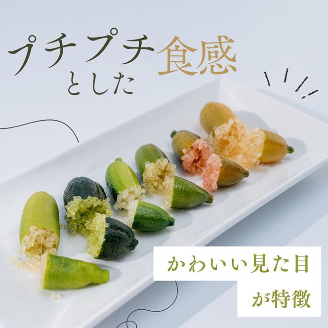 フィンガーライム 200g　フルーツ 果物 森のキャビア キャビアライム フルーツキャビア 岐阜県 海津市