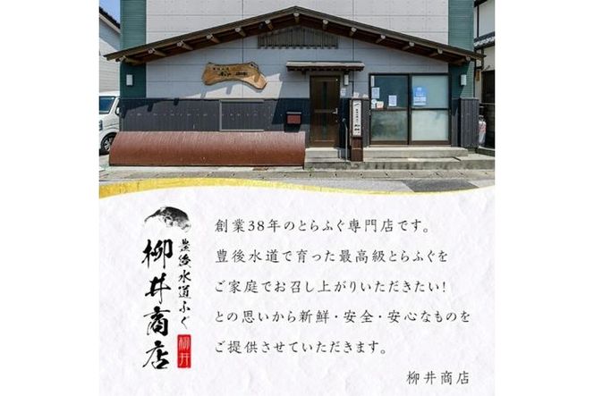 豊後とらふぐ ふぐちり鍋用(約370g・3-4人前)フグ 鍋 ふぐちり 冷凍 養殖 海鮮 魚介 国産 大分県 佐伯市【AB65】【柳井商店】