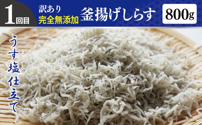 G1243 店主セレクト 食べ比べ 定期便 全4回（ハンバーグ／しらす／スンドゥブチゲ／サムギョプサル）【毎月配送コース】