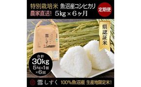 【令和8年産】定期便！農家直送！県認証特別栽培魚沼産コシヒカリ【合計30kg】毎月5kg×6回 精米 ご飯 ブランド米 銘柄米