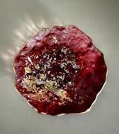 豆皿 口金ロック グラデーションレッド ［NF163］ 303446_CU90077VC02