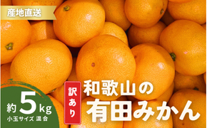 家庭用 訳あり 有田みかん 和歌山 小玉(2S,3Sサイズ混合) 5kg【10月上旬～1月下旬頃に順次発送】/ みかん フルーツ 果物 くだもの 有田みかん 蜜柑 柑橘【ktn010A】