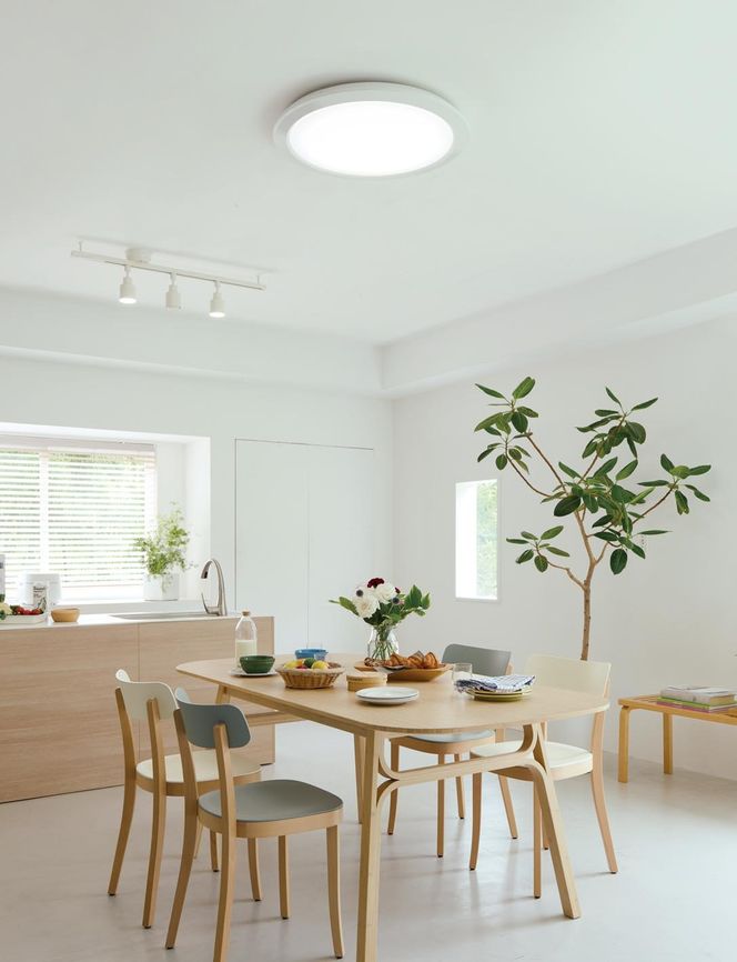 パナソニック【SNCX51300】LEDシーリング ライフコンディショニングシリーズ（丸型 12畳用）【senk0002】