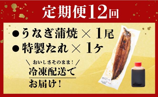 【12回定期便】ヤマジュウ厳選! 国産 ウナギ 蒲焼き 1尾(約175g～180g)×12回 12ヶ月 タレ付き 鰻 うなぎ かば焼き 加工品 魚 魚介類 高知県産 冷凍 _ yj045