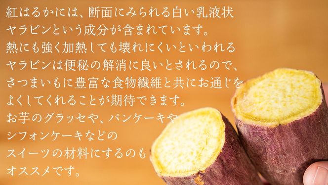 【 塚田商店 】 井上さつま 「 紅はるか 」 5kg ( 2Lサイズ ) 新物 ブランド芋 茨城県産 筑西市産 さつまいも サツマイモ いも 芋 イモ [BD038ci]