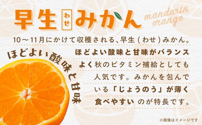 【先行受付】【数量限定】早生みかん（生果）5kg（2026年11月上旬より順次発送）IKTQ005