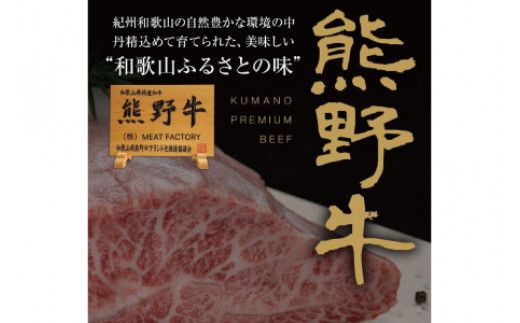 特選黒毛和牛 熊野牛ステーキ 部位3種食べ比べ (3枚入)  ロース､ヒレ､ランプ バラエティセット【mtf407A】