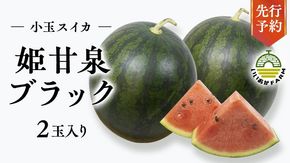 【 令和7年産 】【 先行予約 】小玉 スイカ 姫甘泉ブラック 1箱 2玉入り すいか 黒 西瓜 数量限定 甘い 夏 果物 [CG005ya]