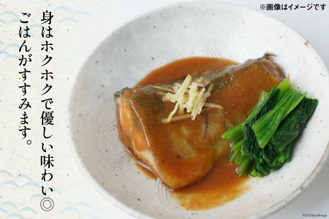 焼き魚 煮魚 夜ごはん 5種×各2袋 計10袋 セット [南三陸さんさんマルシェ 宮城県 南三陸町 30ai0033] 魚 魚介 海鮮 銀鮭 さけ サケ 鮭 シャケ 鰤 ぶり ブリ 塩焼き みそ煮 味噌煮 照り焼き 塩麹 鯖 サバ さば 簡単調理 小分け 個包装 弁当 おかず 惣菜 おつまみ 詰め合わせ