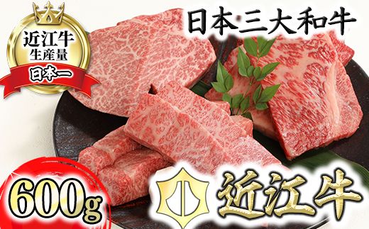 【げんさん】近江牛A5ランク厳選カットステーキ3種【600g】【DG03W】