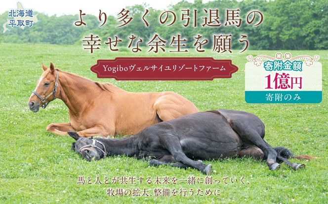 【1億円コース 返礼品無し】より多くの引退馬の幸せな余生を願う　Yogiboヴェルサイユリゾートファーム BRTV024-08