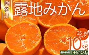 みかん 【2026年10月下旬発送】露地みかん(2S～Mサイズ) 10kg 贈答用 （傷み補償分 ＋約100g） - 果物 くだもの フルーツ 果実 柑橘 かんきつ 蜜柑 みかん om-0006