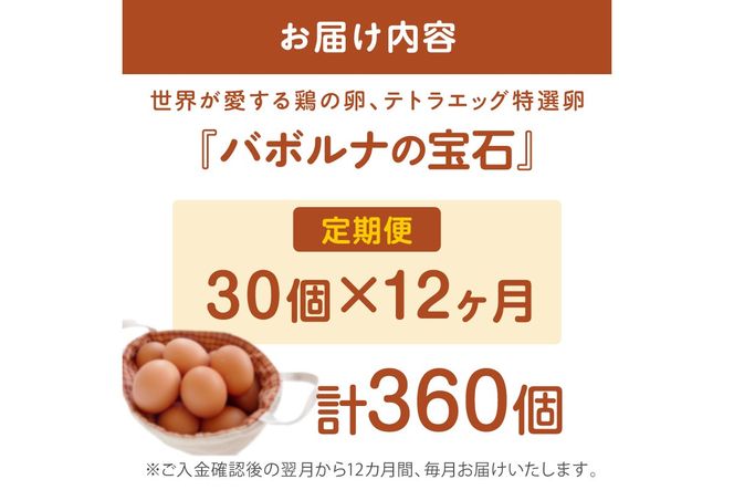 【J11-001】テトラエッグ特選卵『バボルナの宝石』（30個/月）【12カ月定期便】