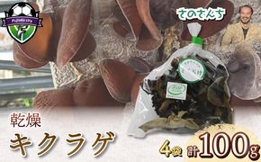 乾燥キクラゲ 100g 25g×4袋 きくらげ 丸干し 木耳 さのさんち きのこ 安心 安全 JGAP認証農場 国産 小分け キノコ 調理 簡単 便利 静岡県 藤枝市