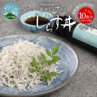 宮崎産 しらす丼 セット 小分け 10食分 400g 老舗醸造所 特製醤油付き　N065-YA175