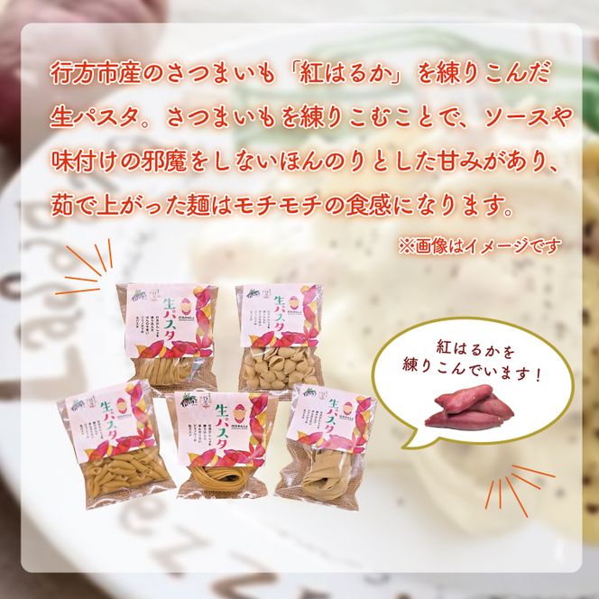 CJ-6 【12ヶ月定期便】 紅はるか使用 生パスタ5種（計10食分）