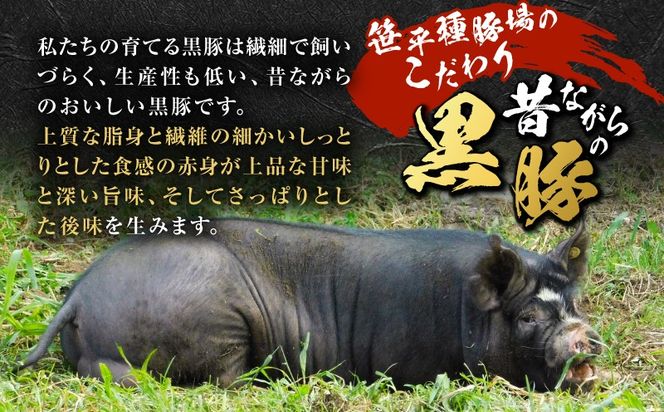 種豚場がお届けする鹿児島伝統の黒豚 黒胡椒の効いた黒豚ウインナー　K125-002